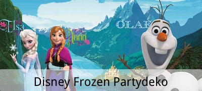 Disney Frozen Party